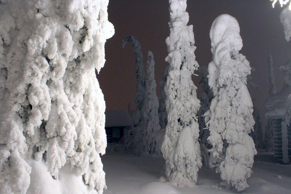 Kelokoto Chalets Rukatunturi Exteriör bild